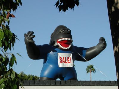Giant blue-suited gorilla sells skis.
