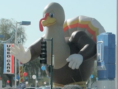 Giant turkey sells Hondas.
